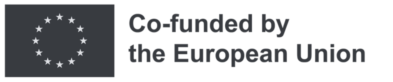 Co-funded by the European Union