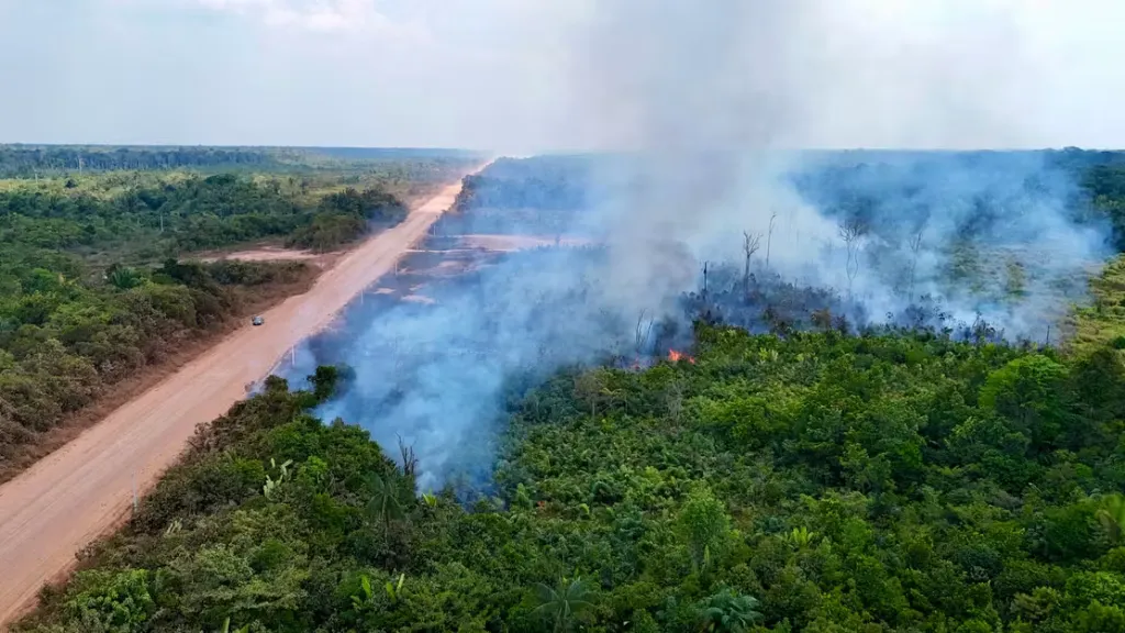 An area of the Amazon rainforest damaged by illegal fires along the BR-319 highway between Porto Velho (Rondônia) and Manaus (Amazonas), in northern Brazil, August 22, 2024. ©EVARISTO